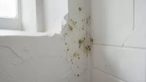 czy tynk gipsowy nadaje się do łazienki