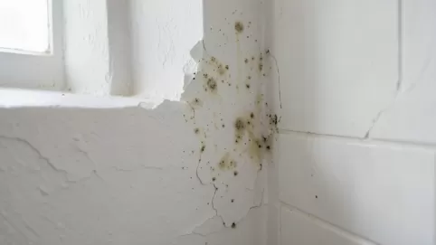 czy tynk gipsowy nadaje się do łazienki
