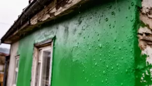 dublet tynk silikonowy