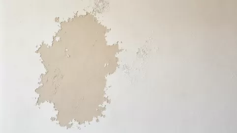 plamy na tynku gipsowym