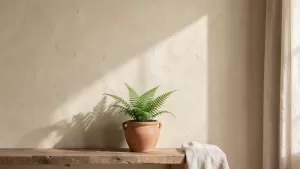 pomalowany tynk cementowo wapienny