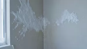 szron na tynkach gipsowych