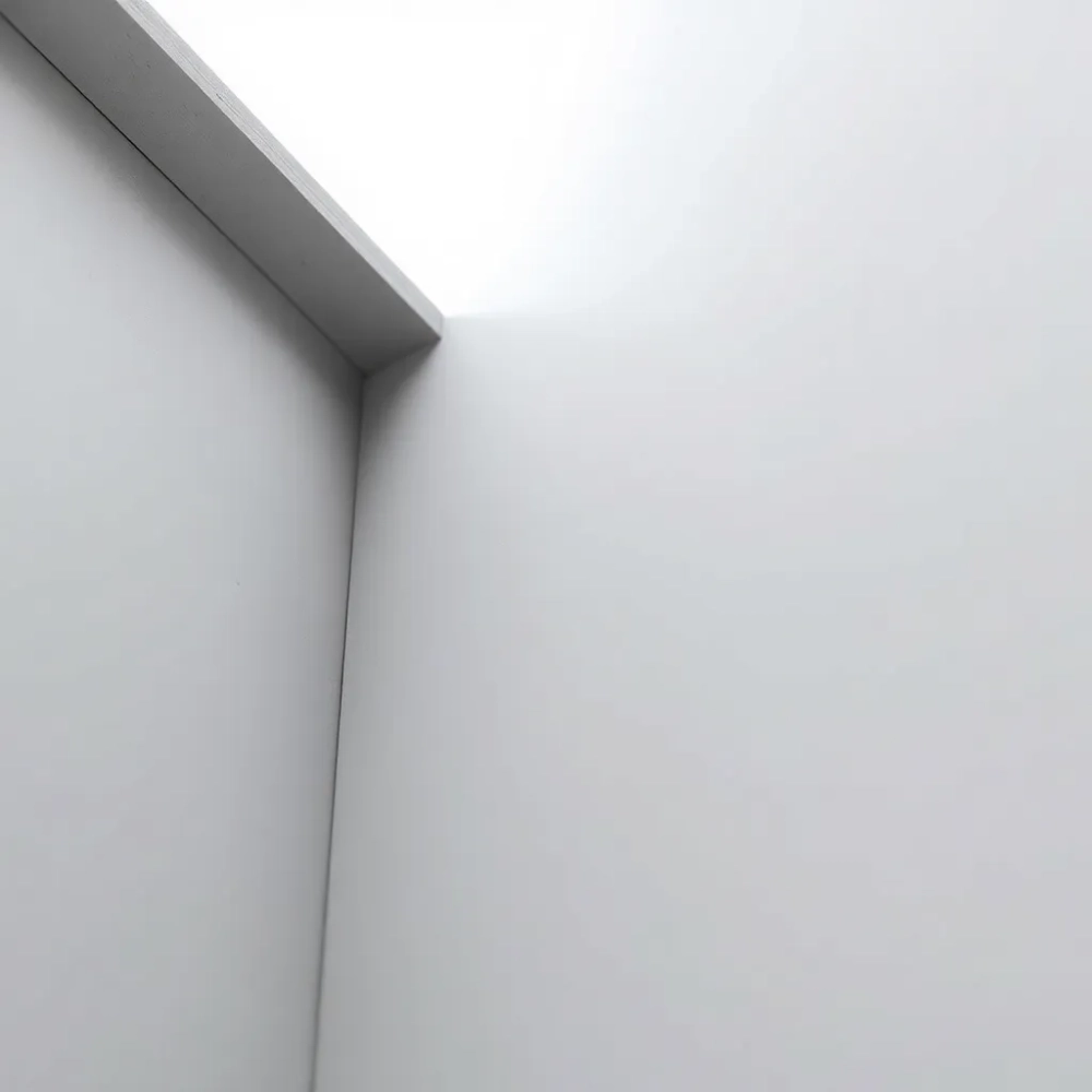 Narożnik do mokrych tynków 50x50