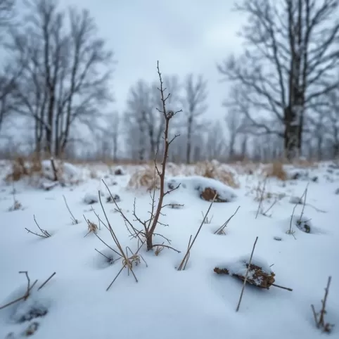 Centralne ogrzewanie w bloku koszt