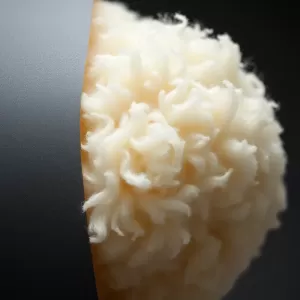 Czy wełna może dotykać membrany