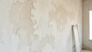 jak dlugo schna tynki cementowo wapienne