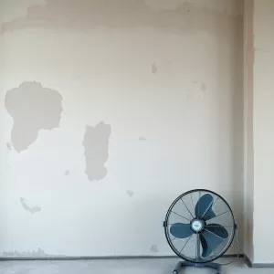 Jak suszyć tynki gipsowe