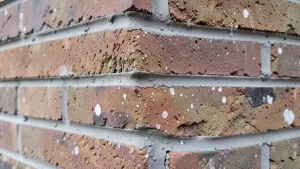 jaka zaprawa do cegły klinkierowej