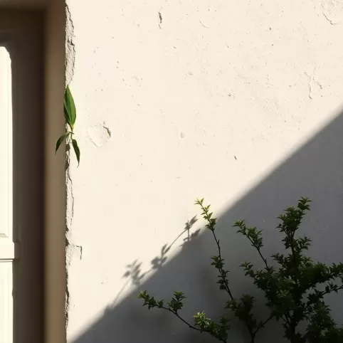 Jaki tynk na stary baranek