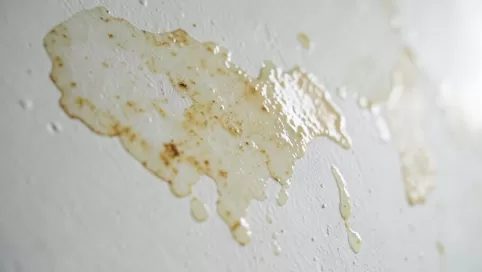 mokre plamy na tynku gipsowym