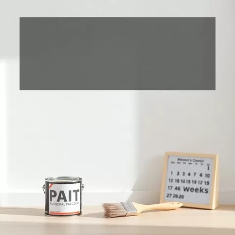 Po jakim czasie można malować tynk mineralny