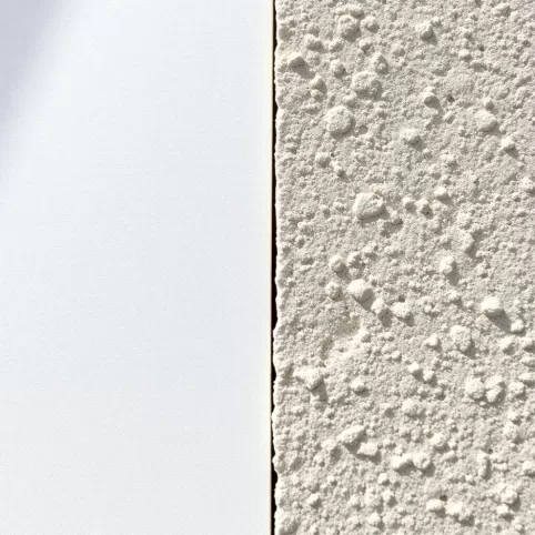 Tynk akrylowy czy mineralny