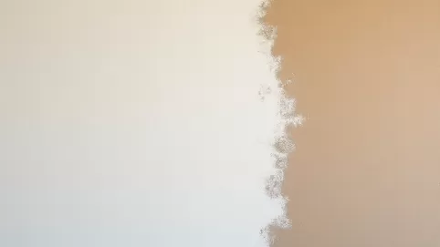 Tynk elewacyjny natryskowy