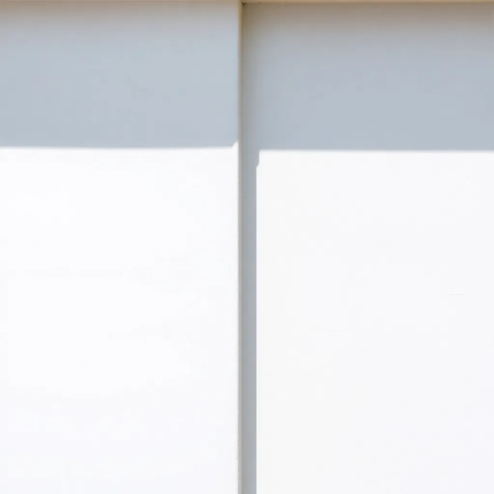 tynk silikonowy czy silikonowosilikatowy